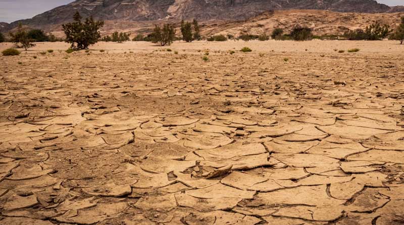 कर्नाटक: सूखा प्रभावित किसानों को मिलेगी 2500 रुपये की तत्काल राहत, 45-50 लाख किसानों को फायदा