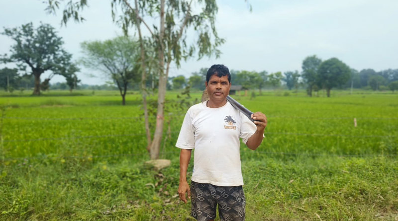 खेती के खर्च में पीएम किसान सम्मान निधि बनी मददगार, 3 एकड़ में धान उगा रहे किसान दशरथ