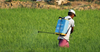 भारत में पैराक्वाट खरपतवार नाशक पर लगा प्रतिबंध