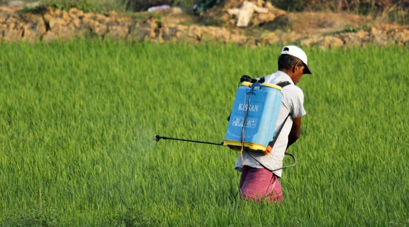 भारत में पैराक्वाट खरपतवार नाशक पर लगा प्रतिबंध