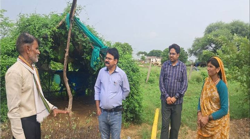 पारंपरिक खेती छोड़ ग्वालियर की उषा रावत ने शुरू की नर्सरी, अब सालाना कमा रहीं 10 लाख रुपए; जानिए कैसे