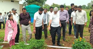 मिर्च की खेती से गुना का किसान बना 'लखपति', सिर्फ 1 एकड़ में कमाए 5 लाख रुपए; जानिए कैसे    