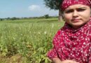 बालाघाट में तिल की खेती को बढ़ावा देने की दिशा में हुई पहल