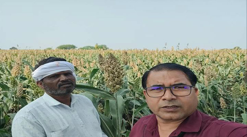 दमोह: सोनी ने की ज्वार की उन्नत खेती