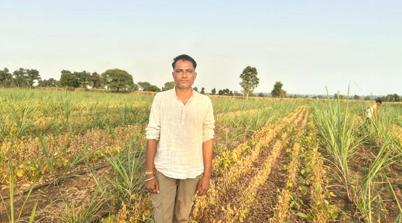 छिंदवाड़ा : गन्ने के साथ सोयाबीन की अंतरवर्तीय खेती का दुर्गेश ने किया नवाचार