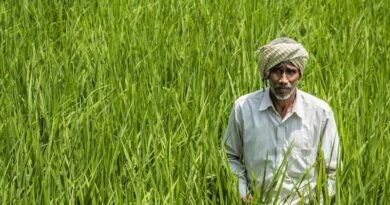 10.77 करोड़ से ज्यादा किसानों की बनी Farmer ID, डिजिटल सिस्टम से सीधे मिल रहा सरकारी योजनाओं का लाभ