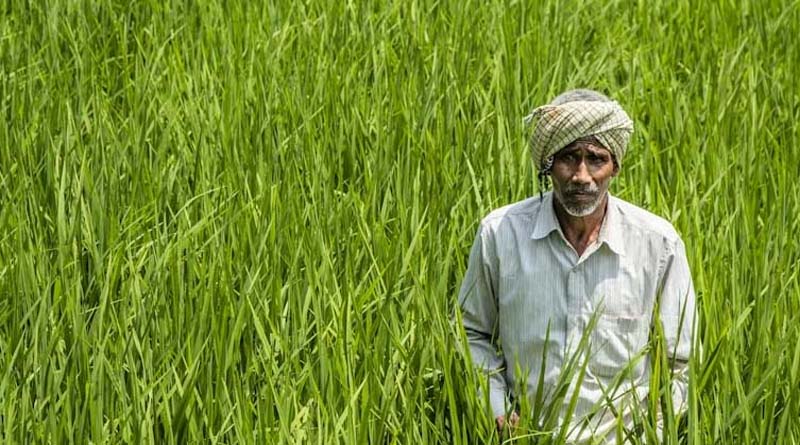 10.77 करोड़ से ज्यादा किसानों की बनी Farmer ID, डिजिटल सिस्टम से सीधे मिल रहा सरकारी योजनाओं का लाभ