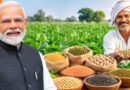 केंद्र ने दलहन के प्रमाणित बीज पर सब्सिडी बढ़ाकर की 100 प्रतिशत, किसानों को ₹12,000 प्रति क्विंटल तक लाभ