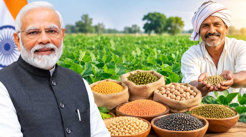 केंद्र ने दलहन के प्रमाणित बीज पर सब्सिडी बढ़ाकर की 100 प्रतिशत, किसानों को ₹12,000 प्रति क्विंटल तक लाभ