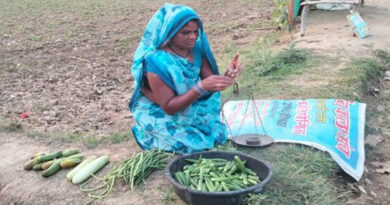 उमरिया: प्राकृतिक खेती अपनाकर सावित्री सिंह ने दिया स्वस्थ जीवन का संदेश