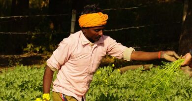 सीहोर: कलेक्टर की अध्यक्षता में आज किसान संगठनों की बैठक, समस्याओं के निराकरण पर होगा मंथन