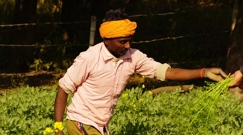 सीहोर: कलेक्टर की अध्यक्षता में आज किसान संगठनों की बैठक, समस्याओं के निराकरण पर होगा मंथन