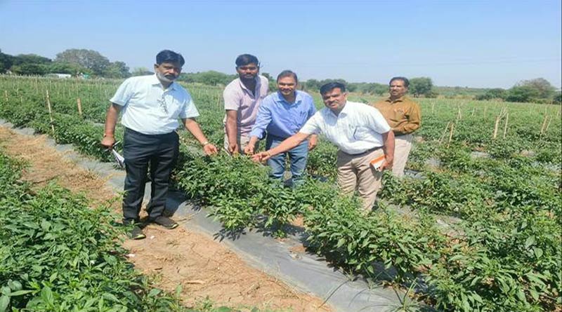 ग्वालियर : कृषि उत्पादन आयुक्त एवं अपर मुख्य सचिव ने किया उद्यानिकी गतिविधियों का निरीक्षण