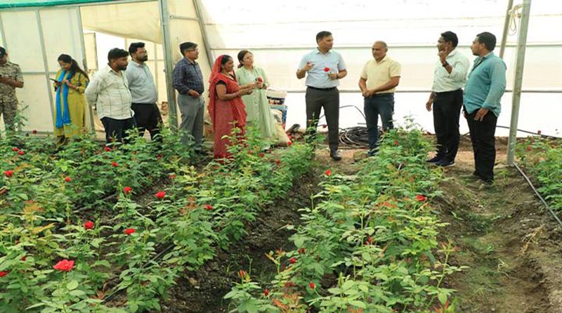 झाबुआ कलेक्टर ने उद्यानिकी फसलों एवं पॉलीहाउस का किया निरीक्षण
