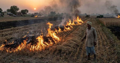 गुना: फसल अवशेष जलाने को लेकर प्रतिबंधात्मक आदेश जारी