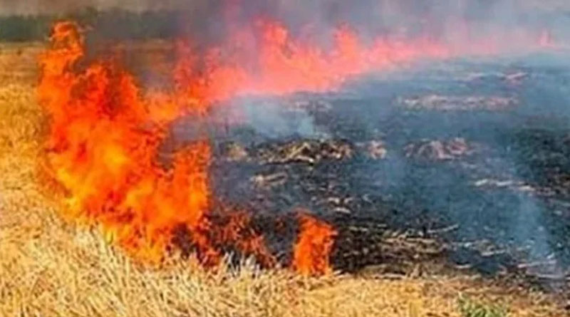 राजस्थान: खेत में फसल अवशेष जलाया तो लगेगा ₹30 हजार तक जुर्माना, रोकथाम के लिए बनी समिति