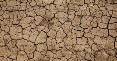 महाराष्ट्र में मानसून की जल्द विदाई, 265 तहसीलें सूखे की चपेट में