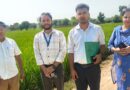 पराली जलाने पर सरकार की सख्ती, पंजाब-हरियाणा के 34 जिलों में तैनात हुए फ्लाइंग स्क्वाड  