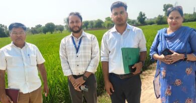 पराली जलाने पर सरकार की सख्ती, पंजाब-हरियाणा के 34 जिलों में तैनात हुए फ्लाइंग स्क्वाड  