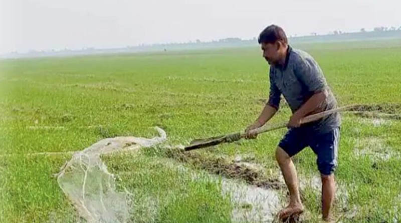 शहडोल : नलकूप खनन से बढ़ी खेती की क्षमता, हीरालाल अब ले रहे तीन फसल