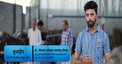 पशुधन से समृद्धि की ओर बढ़ता नीमच