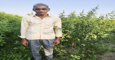 खंडवा: प्राकृतिक खेती से कम लागत में ज्यादा मुनाफा
