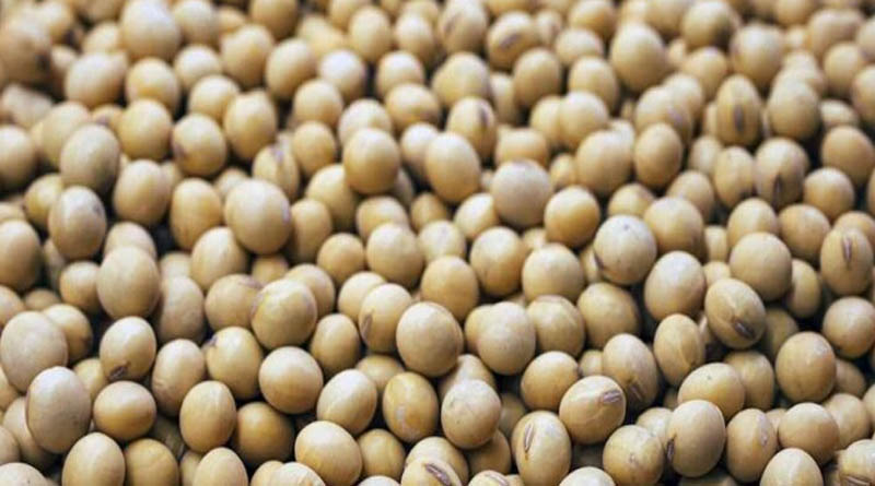 मध्य प्रदेश: सोयाबीन भावांतर योजना का पंजीयन आज से शुरू, 17 अक्टूबर तक मौका
