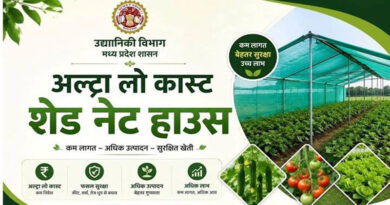 सागर : अल्ट्रा लो-कॉस्ट शेडनेट हाउस से कम लागत में किसानों को मिल रहा अधिक उत्पादन