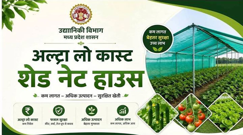 सागर : अल्ट्रा लो-कॉस्ट शेडनेट हाउस से कम लागत में किसानों को मिल रहा अधिक उत्पादन