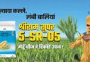 घर का गेहूं बीज बोएं या नया बीज खरीदें? जानिए प्रति एकड़ ₹7,725 ज़्यादा मुनाफे का हिसाब