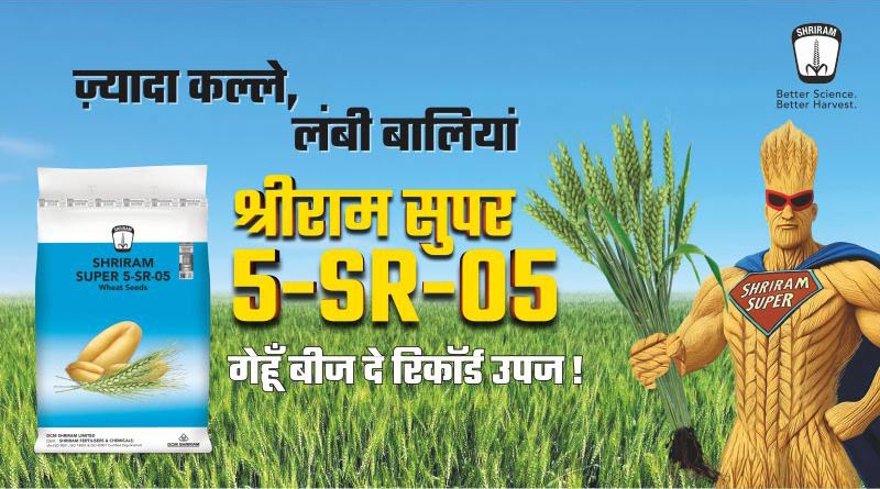 तेज हवा-बारिश में गिरती है गेहूँ की फसल? मजबूत कल्लों वाली यह किस्म देगी भरोसा
