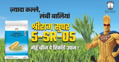 कम नमी, ज्यादा गर्मी: इस रबी बोएं ये 3 कम अवधि वाली गेहूँ किस्में