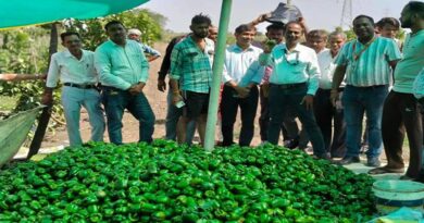 विदिशा में दो दिवसीय उद्यानिकी प्रशिक्षण संपन्न