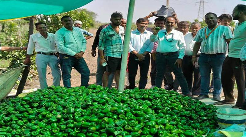 विदिशा में दो दिवसीय उद्यानिकी प्रशिक्षण संपन्न