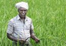 राजस्थान: आत्मा योजना के तहत रबी पूर्व कृषक गोष्ठी आयोजित, किसानों को डीएपी के विकल्प के रूप में बताया एसएसपी का उपयोग