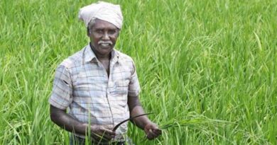 राजस्थान: आत्मा योजना के तहत रबी पूर्व कृषक गोष्ठी आयोजित, किसानों को डीएपी के विकल्प के रूप में बताया एसएसपी का उपयोग