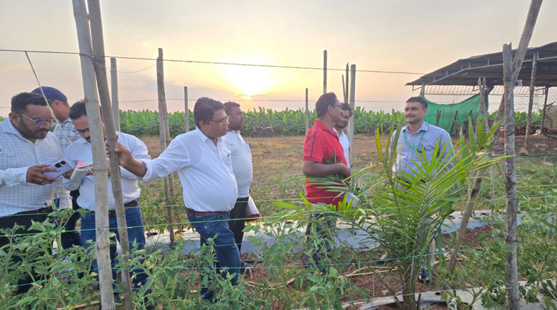 छत्तीसगढ़ में आयल पाम की खेती को मिलेगा बढ़ावा: केंद्रीय असिस्टेंट कमिश्नर कृष्ण कांत दुबे ने किया विभिन्न जिलों का दौरा