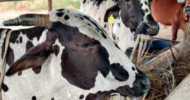 वृंदावन ग्राम योजना के अंतर्गत गोपाल कृष्ण ग्राम पुरस्कार योजना