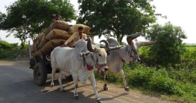 खेती में नवाचार करने वाले किसानों को मिलेगा 25 हजार तक का पुरस्कार, 25 अक्टूबर तक करें आवेदन