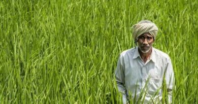 Farmer ID: लक्ष्य से 5 महीने पहले बने 11 करोड़ फार्मर आईडी, किसानों को बैंक लोन और सरकारी योजनाओं में होगी आसानी  