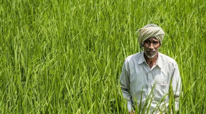 Farmer ID: लक्ष्य से 5 महीने पहले बने 11 करोड़ फार्मर आईडी, किसानों को बैंक लोन और सरकारी योजनाओं में होगी आसानी
