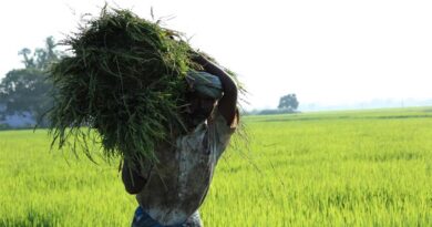 कर्मचारियों के डीए में 3% वृद्धि, किसान की बढ़ती लागत पर राहत का क्या ?