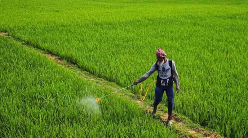 सीलबंद पैकिंग में मिले अमानक कीटनाशक पर विक्रेता जिम्मेदार नहीं, पंजाब एवं हरियाणा हाईकोर्ट ने रद्द की आपराधिक कार्यवाही