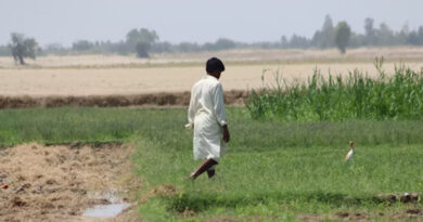 छत्तीसगढ़: कृषक उन्नति योजना का लाभ लेना है तो 31 अक्टूबर तक कराएं पंजीयन