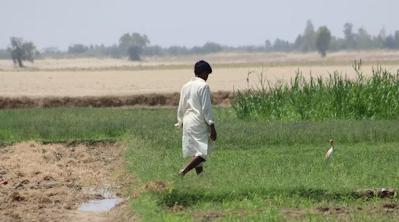 छत्तीसगढ़: कृषक उन्नति योजना का लाभ लेना है तो 31 अक्टूबर तक कराएं पंजीयन