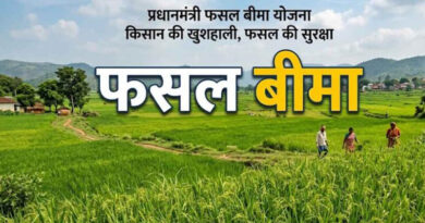 राजस्थान के किसानों को दिवाली का तोहफा, फसल बीमा के 345 करोड़ रुपये के लंबित दावों का भुगतान