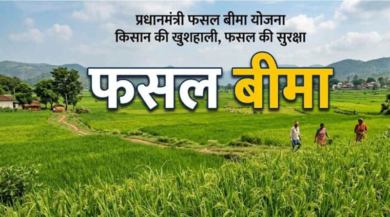 राजस्थान के किसानों को दिवाली का तोहफा, फसल बीमा के 345 करोड़ रुपये के लंबित दावों का भुगतान