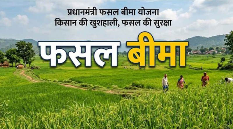 मंदसौर: फसल बीमा शिकायतों के निराकरण हेतु 22 अक्टूबर तक लगेंगे शिविर