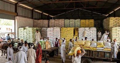 राजस्थान: उर्वरक की पर्याप्त उपलब्धता, 3.72 लाख टन यूरिया समेत 7.83 लाख टन खाद का स्टॉक