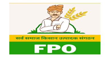 असम कैबिनेट का बड़ा फैसला, किसानों और FPO के कृषि ढांचा ऋण में सरकार देगी हिस्सा